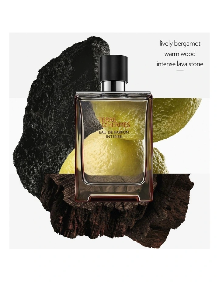 HERMES TERRE D'HERMES EAU DE TOILETTE 100ML HERMES TERRE D'HERMES EAU DE TOILETTE 100ML