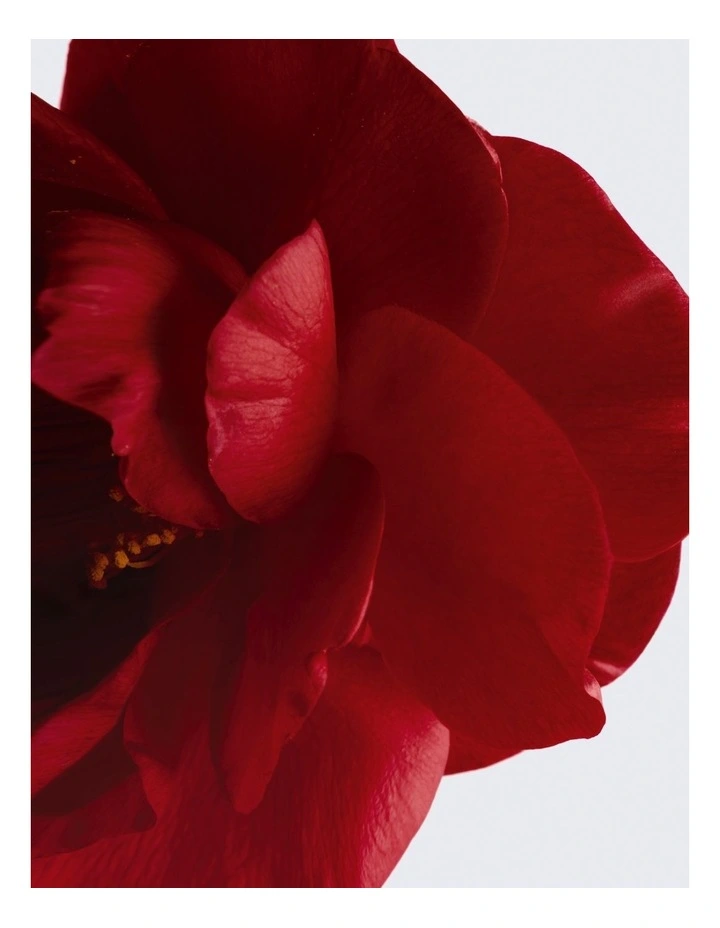 N°1 DE CHANEL L'EAU ROUGE 100ML N°1 DE CHANEL L'EAU ROUGE 100ML