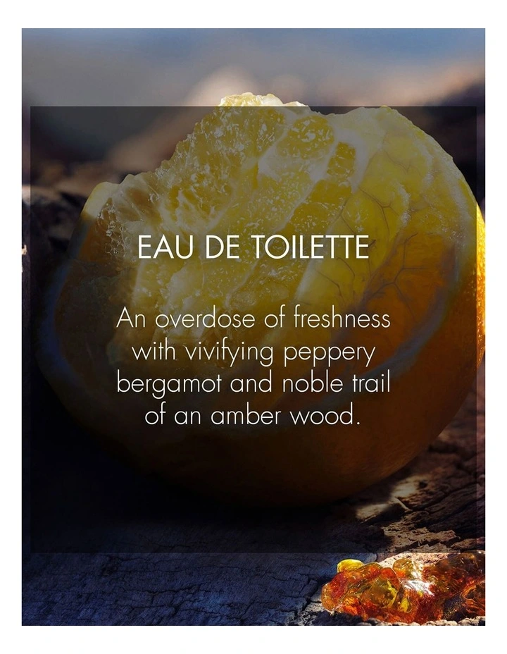 SAUVAGE EAU DE TOILETTE SAUVAGE EAU DE TOILETTE